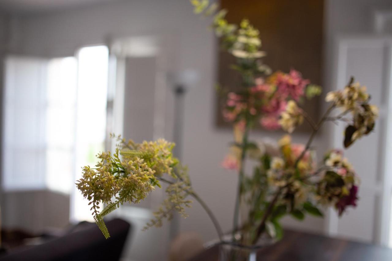 Apartment Seville Mirador Puerta Carmona Ngoại thất bức ảnh